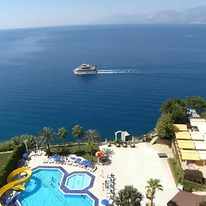 book here